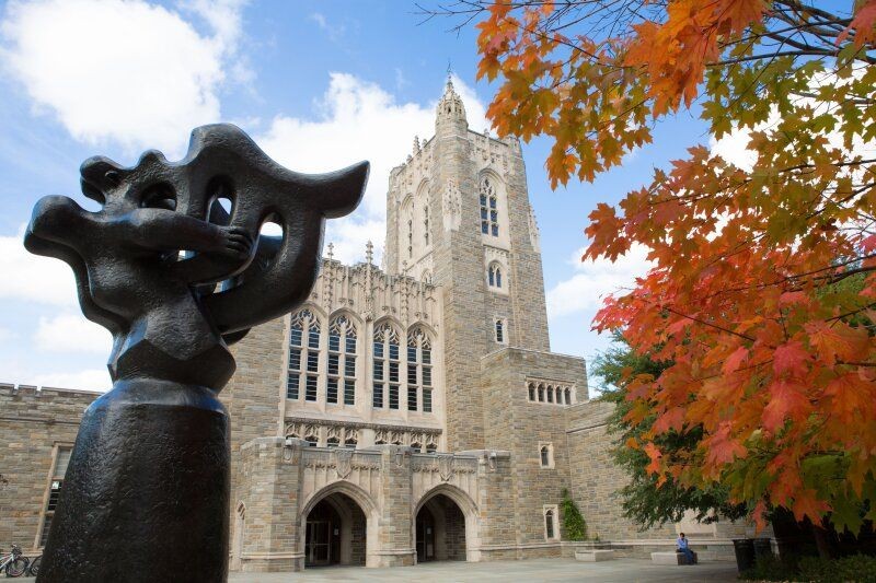 Princeton University