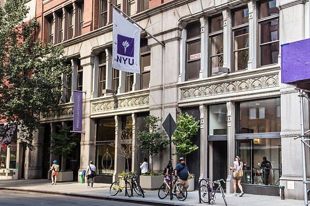 New York University